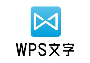 WPS文字排版(Word)视频课程